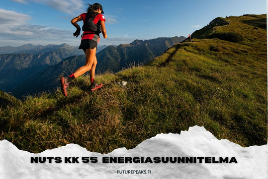 NUTS Karhunkierros energiasuunnittelma - FuturePeaks