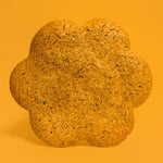 Planet Amino power biscuit (5 flavors)